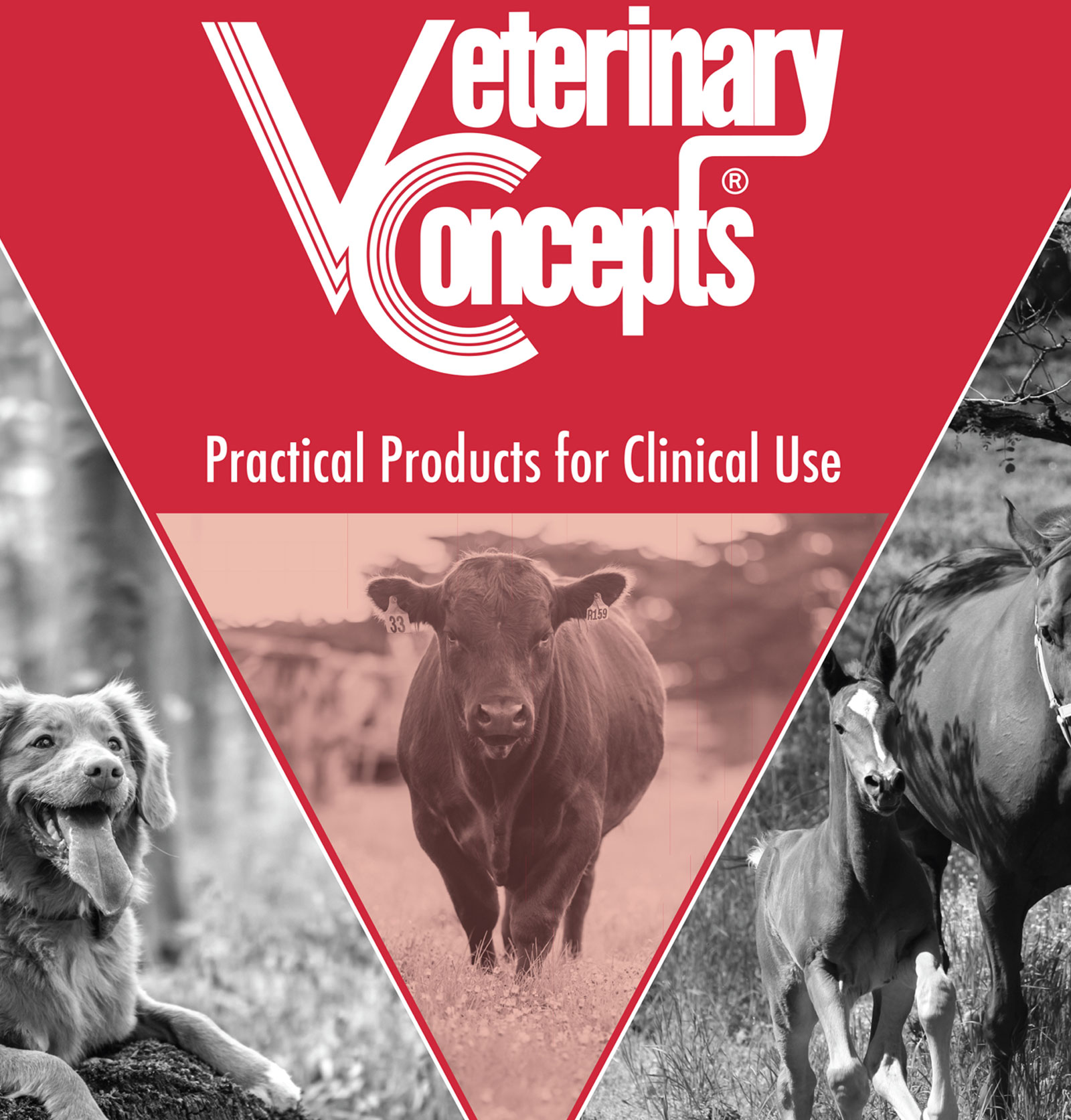 VetConcepts tradeshow backdrop